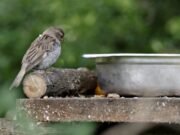 How Karma Really Works According to Buddha (Law of Kamma) law of karma