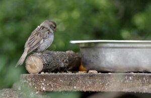 How Karma Really Works According to Buddha (Law of Kamma) law of karma